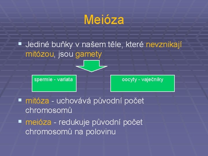 Meióza § Jediné buňky v našem těle, které nevznikají mitózou, jsou gamety spermie -