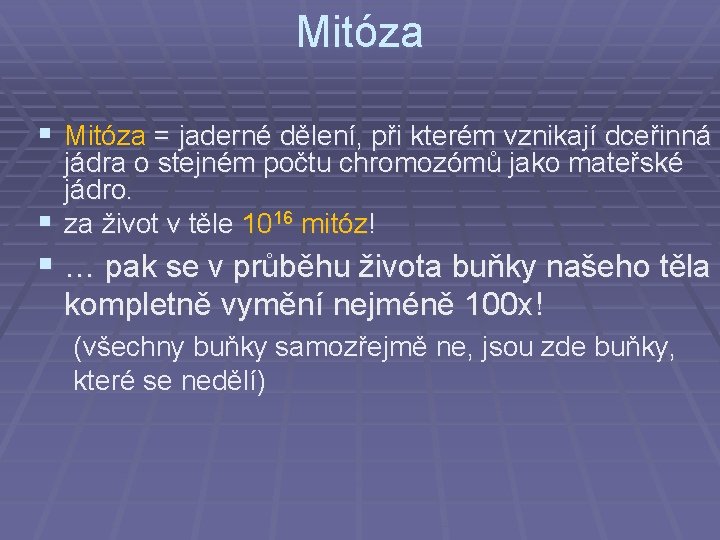 Mitóza § Mitóza = jaderné dělení, při kterém vznikají dceřinná jádra o stejném počtu