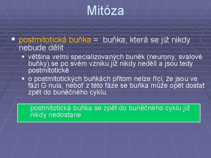 Mitóza § postmitotická buňka = buňka, která se již nikdy nebude dělit § většina