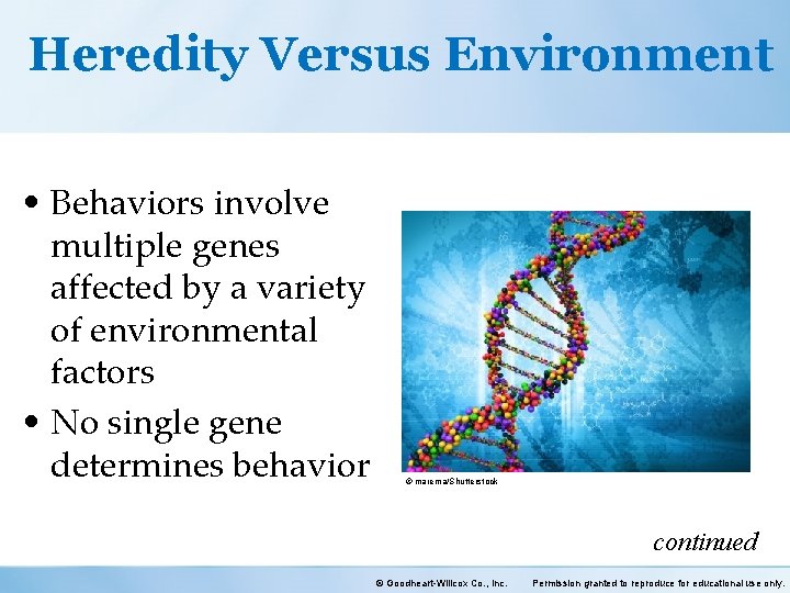 Heredity Versus Environment • Behaviors involve multiple genes affected by a variety of environmental