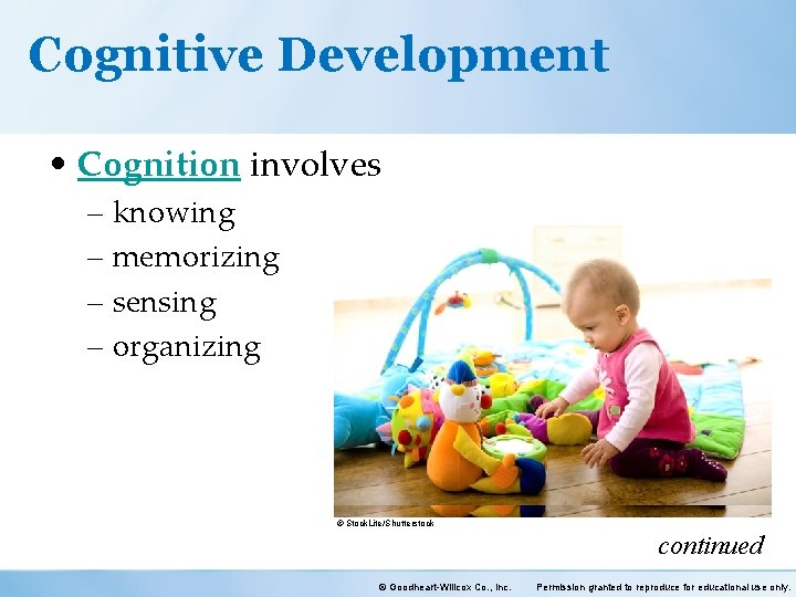 Cognitive Development • Cognition involves – knowing – memorizing – sensing – organizing ©