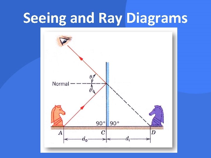 Seeing and Ray Diagrams 