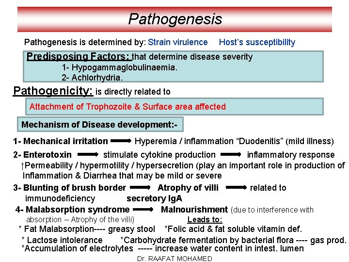 Pathogenesis is determined by: Strain virulence Host’s susceptibility Predisposing Factors: that determine disease severity