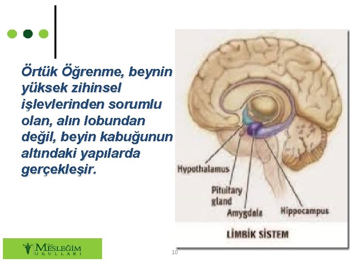 Örtük Öğrenme, beynin yüksek zihinsel işlevlerinden sorumlu olan, alın lobundan değil, beyin kabuğunun altındaki