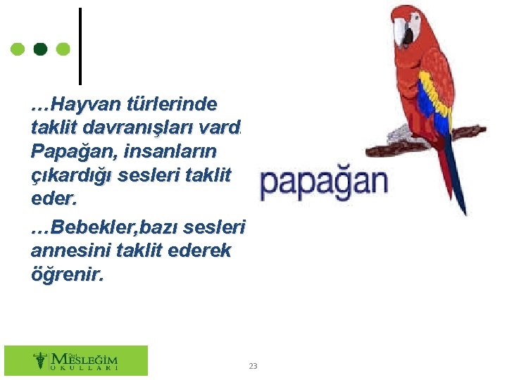 …Hayvan türlerinde taklit davranışları vardır. Papağan, insanların çıkardığı sesleri taklit eder. …Bebekler, bazı sesleri