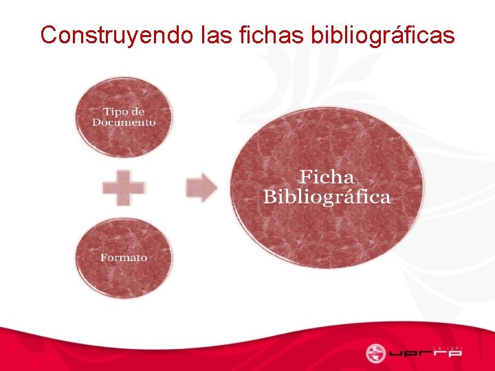 Construyendo las fichas bibliográficas 