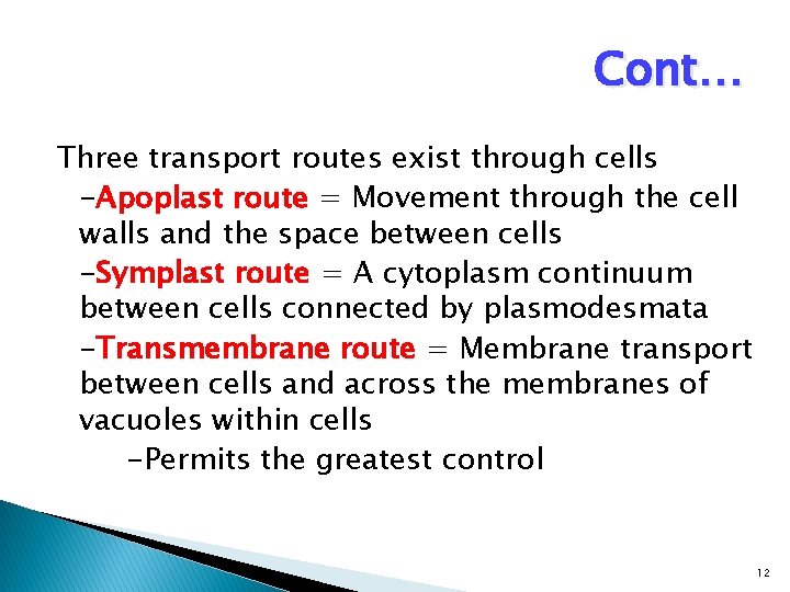 Cont… Three transport routes exist through cells -Apoplast route = Movement through the cell