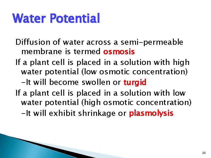 Water Potential Diffusion of water across a semi-permeable membrane is termed osmosis If a