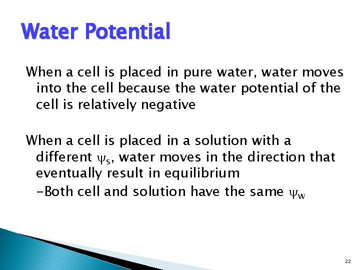 Water Potential When a cell is placed in pure water, water moves into the