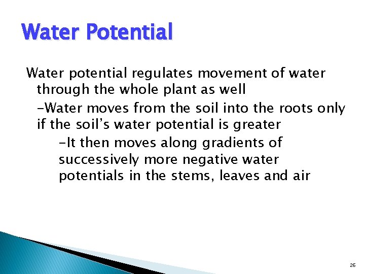 Water Potential Water potential regulates movement of water through the whole plant as well