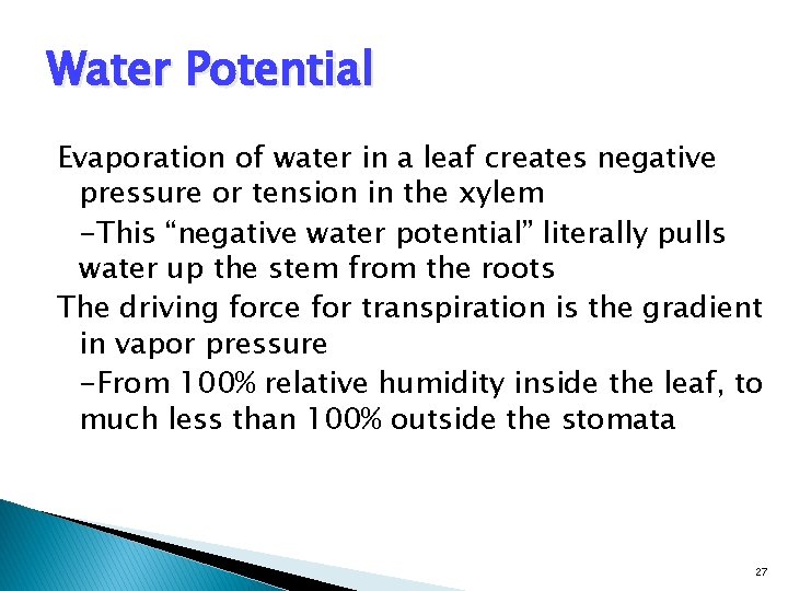 Water Potential Evaporation of water in a leaf creates negative pressure or tension in