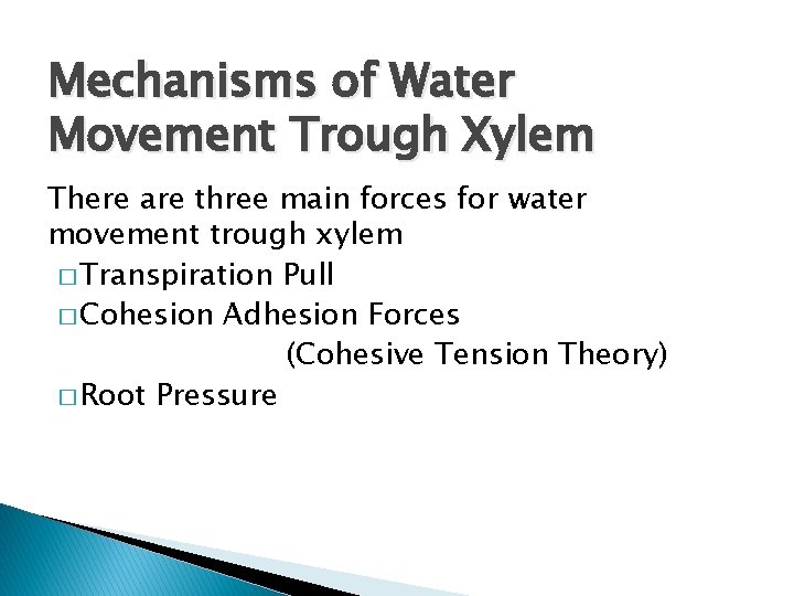 Mechanisms of Water Movement Trough Xylem There are three main forces for water movement