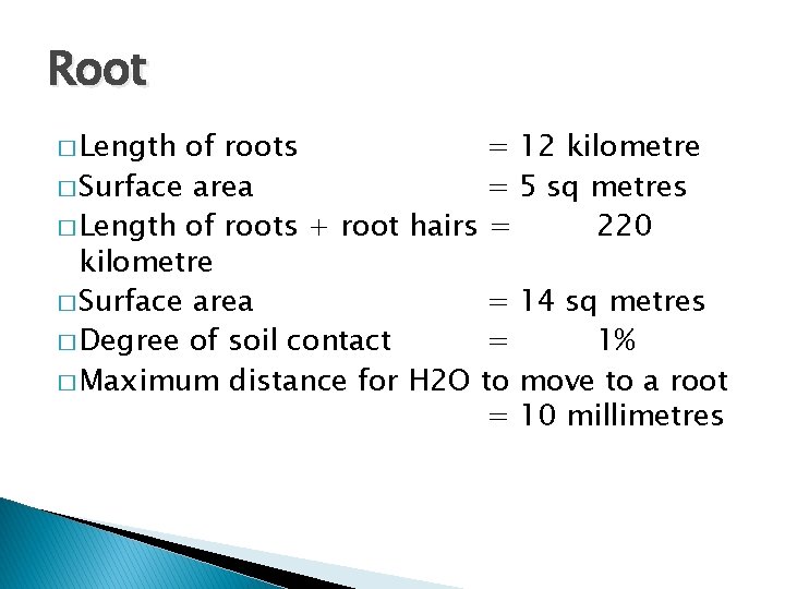 Root � Length of roots = 12 kilometre � Surface area = 5 sq