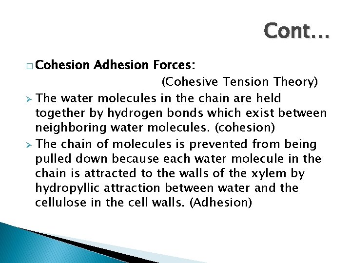 Cont… � Cohesion Adhesion Forces: (Cohesive Tension Theory) Ø The water molecules in the