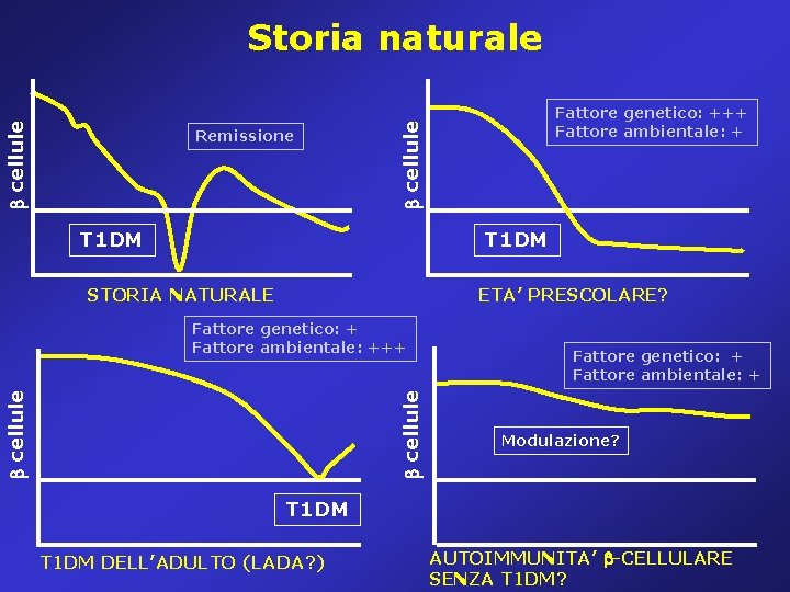Remissione Fattore genetico: +++ Fattore ambientale: + cellule Storia naturale T 1 DM STORIA