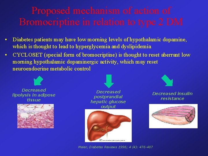 Proposed mechanism of action of Bromocriptine in relation to type 2 DM • Diabetes
