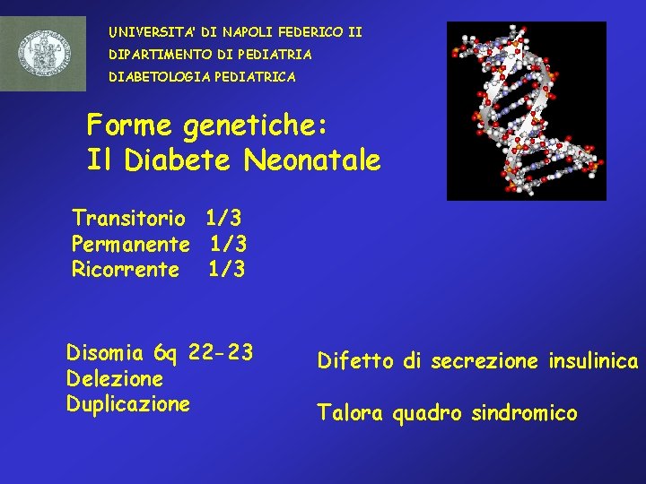 UNIVERSITA’ DI NAPOLI FEDERICO II DIPARTIMENTO DI PEDIATRIA DIABETOLOGIA PEDIATRICA Forme genetiche: Il Diabete