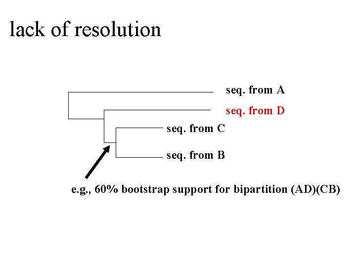 lack of resolution seq. from A seq. from D seq. from C seq. from
