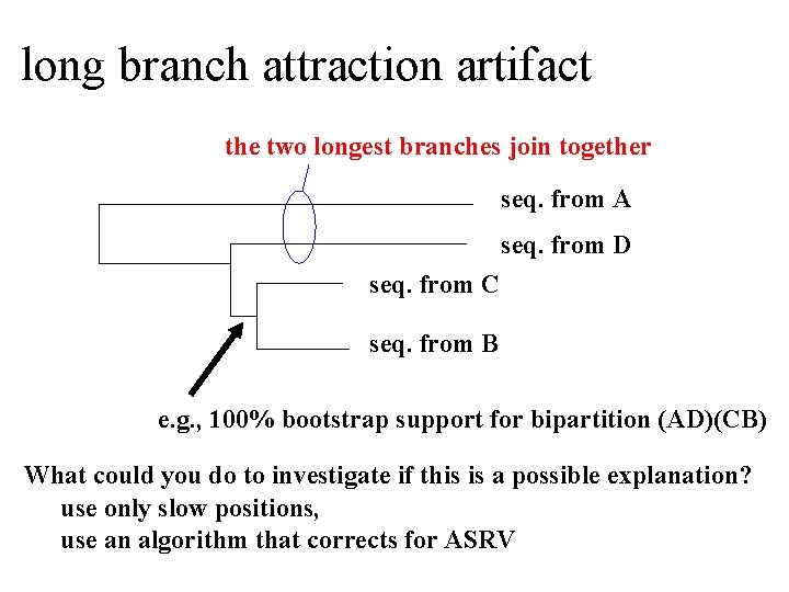 long branch attraction artifact the two longest branches join together seq. from A seq.