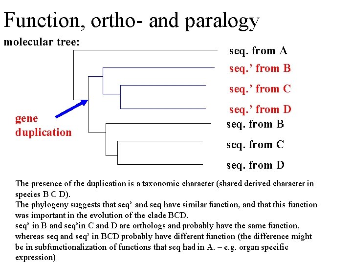Function, ortho- and paralogy molecular tree: seq. from A seq. ’ from B seq.