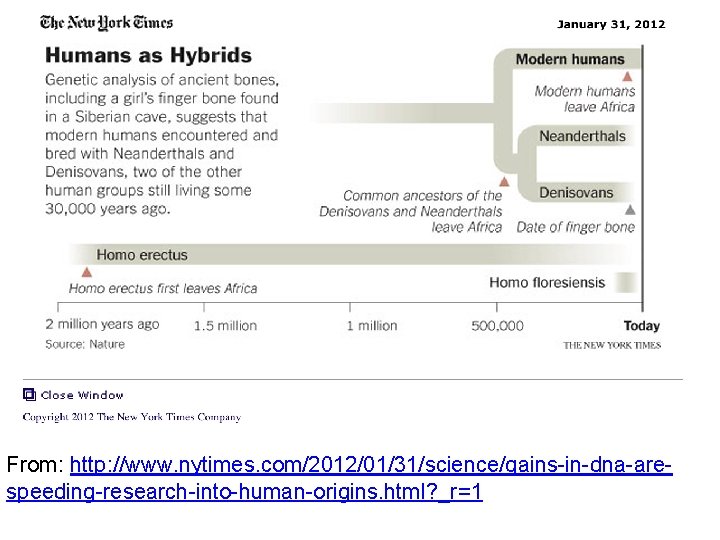 From: http: //www. nytimes. com/2012/01/31/science/gains-in-dna-arespeeding-research-into-human-origins. html? _r=1 