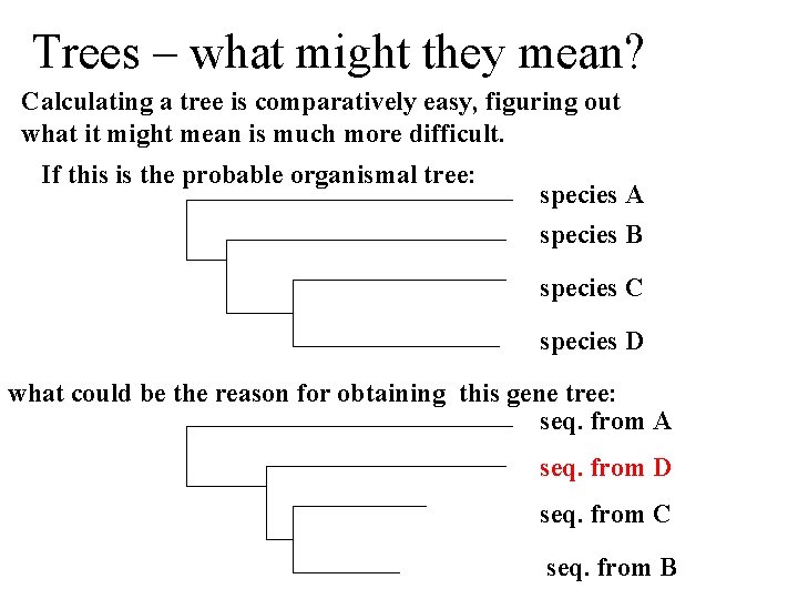 Trees – what might they mean? Calculating a tree is comparatively easy, figuring out
