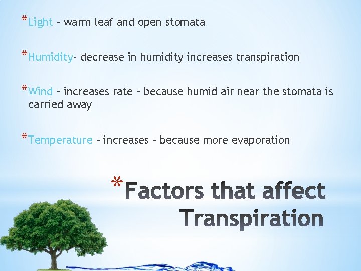 *Light – warm leaf and open stomata *Humidity- decrease in humidity increases transpiration *Wind