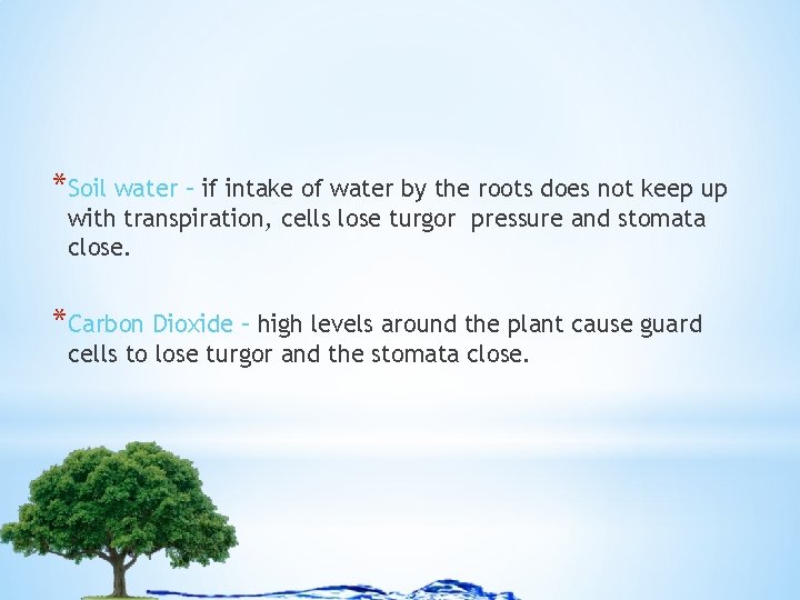 *Soil water – if intake of water by the roots does not keep up