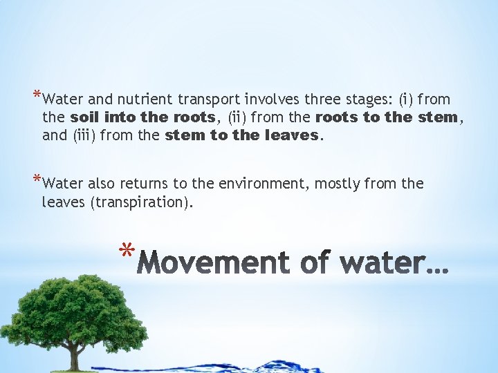 *Water and nutrient transport involves three stages: (i) from the soil into the roots,