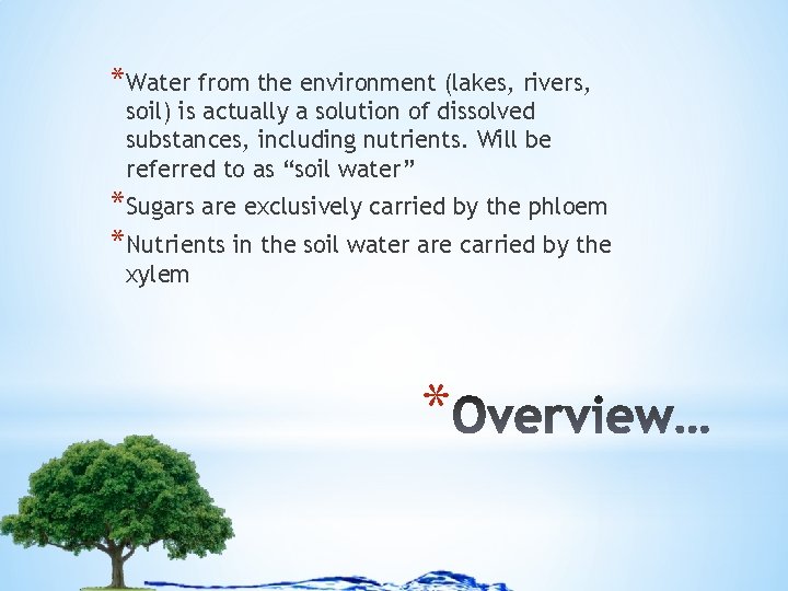 *Water from the environment (lakes, rivers, soil) is actually a solution of dissolved substances,
