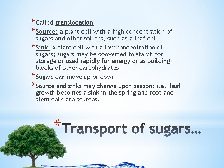 * Called translocation * Source: a plant cell with a high concentration of sugars
