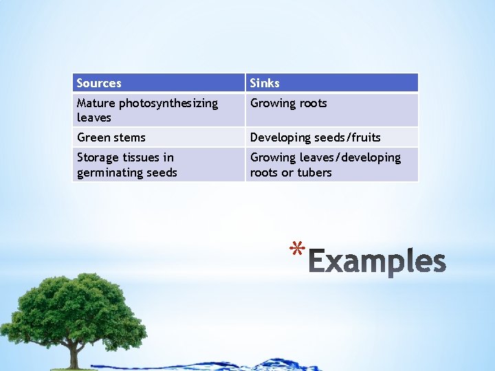 Sources Sinks Mature photosynthesizing leaves Growing roots Green stems Developing seeds/fruits Storage tissues in