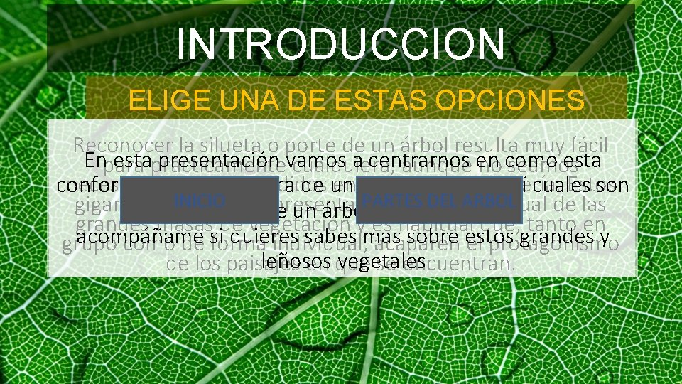 INTRODUCCION ELIGE UNA DE ESTAS OPCIONES Reconocer la silueta o porte de un árbol