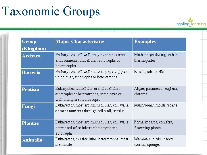 Taxonomic Groups Group (Kingdom) Archaea Bacteria Protista Fungi Plantae Animalia Major Characteristics Examples Prokaryotes,