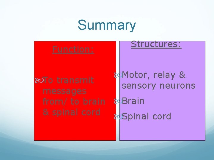 Summary Function: To transmit Structures: Motor, relay & sensory neurons messages from/ to brain