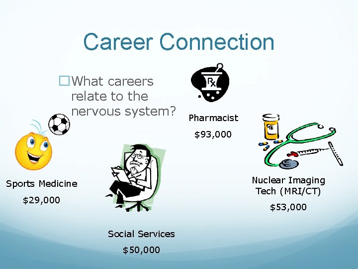 Career Connection �What careers relate to the nervous system? Pharmacist $93, 000 Nuclear Imaging