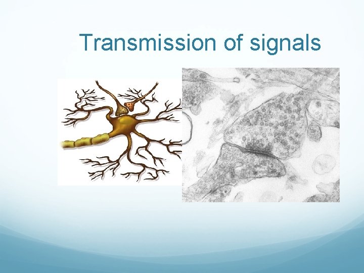 Transmission of signals 
