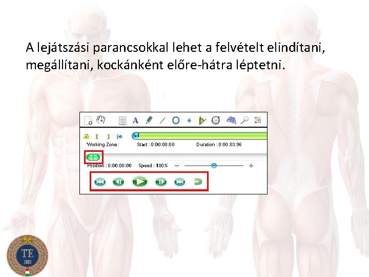 A lejátszási parancsokkal lehet a felvételt elindítani, megállítani, kockánként előre-hátra léptetni. 