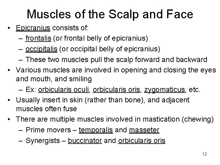 Muscles of the Scalp and Face • Epicranius consists of: – frontalis (or frontal