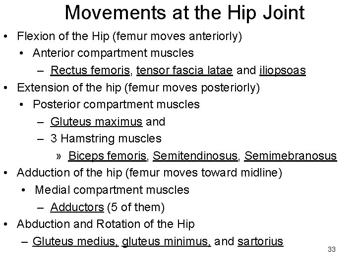 Movements at the Hip Joint • Flexion of the Hip (femur moves anteriorly) •