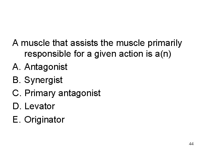 A muscle that assists the muscle primarily responsible for a given action is a(n)