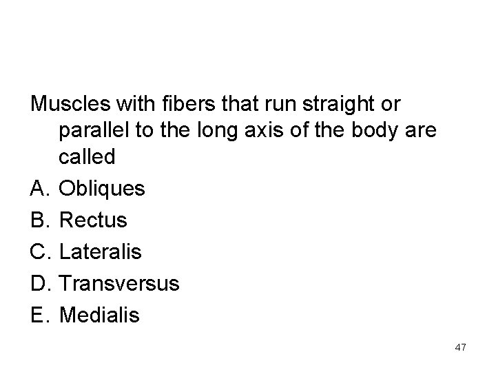 Muscles with fibers that run straight or parallel to the long axis of the