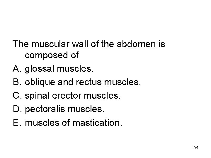 The muscular wall of the abdomen is composed of A. glossal muscles. B. oblique