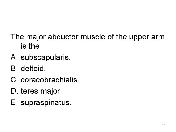 The major abductor muscle of the upper arm is the A. subscapularis. B. deltoid.