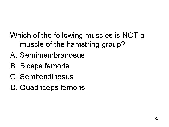 Which of the following muscles is NOT a muscle of the hamstring group? A.
