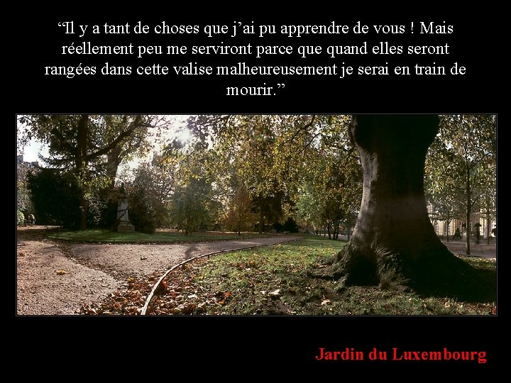 “Il y a tant de choses que j’ai pu apprendre de vous ! Mais