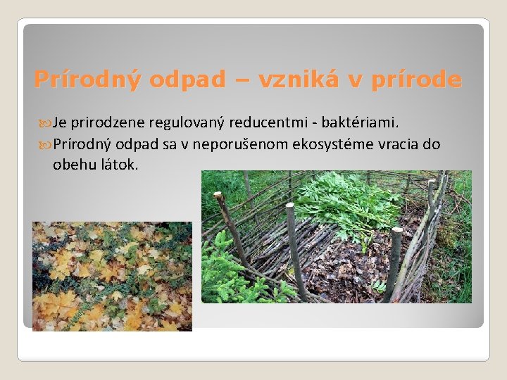 Prírodný odpad – vzniká v prírode Je prirodzene regulovaný reducentmi - baktériami. Prírodný odpad