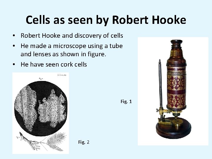 Cells as seen by Robert Hooke • Robert Hooke and discovery of cells •