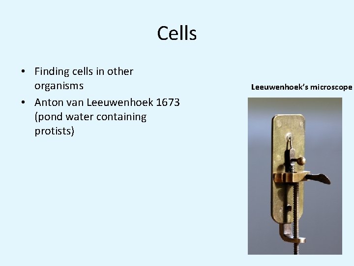 Cells • Finding cells in other organisms • Anton van Leeuwenhoek 1673 (pond water