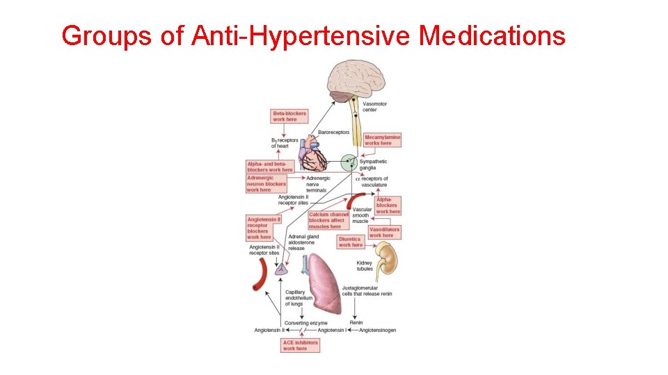 Groups of Anti-Hypertensive Medications 